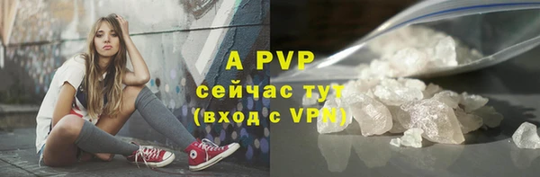 PSILOCYBIN Горно-Алтайск
