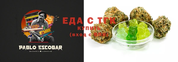 spice Гусев