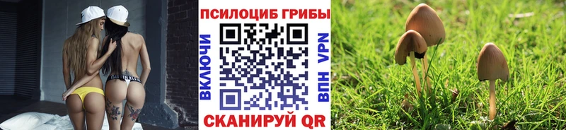 Псилоцибиновые грибы MAGIC MUSHROOMS  Купить закладки  Котово 